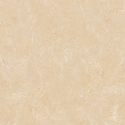 B6005
