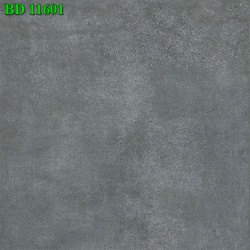BD11601