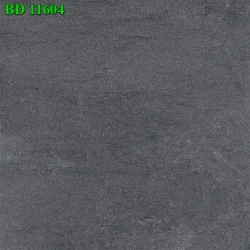 BD11604