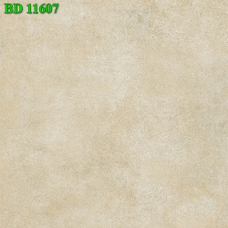 BD11607