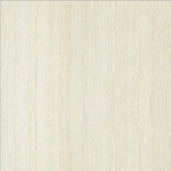 P87202N