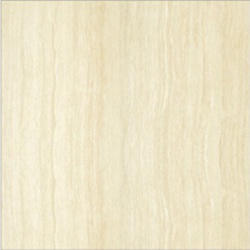 P67206N