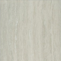 P67208N