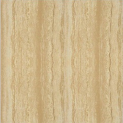 P67216N