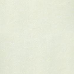 P87703N