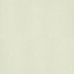 P87763N