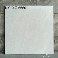 GM6601-NY10