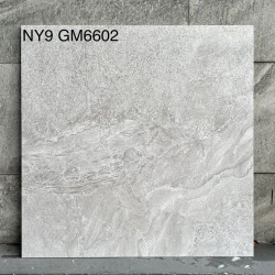 GM6602-NY9