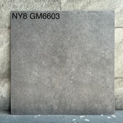 GM6603-NY8