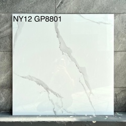 GP8801-NY12