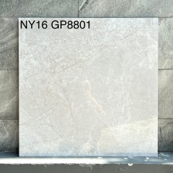 GP8801-NY16