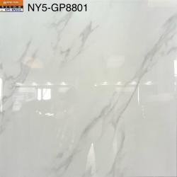 GP8801-NY5