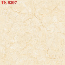 TS8207