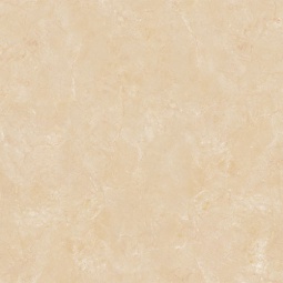 B6005