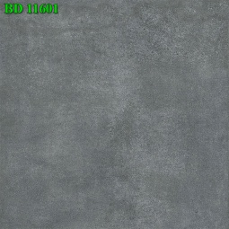 BD11601