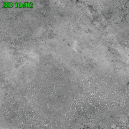 BD11602