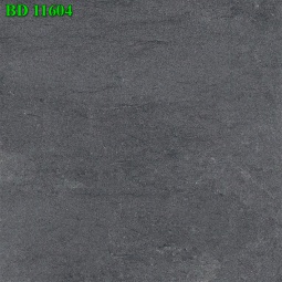 BD11604
