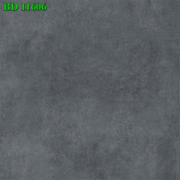 BD11606
