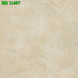 BD11607