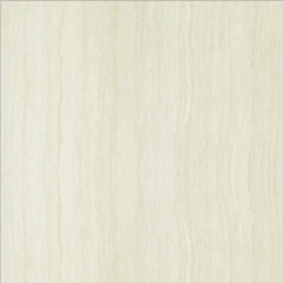 P87202N