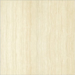 P67206N