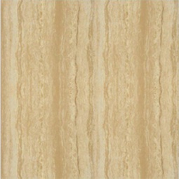 P67216N
