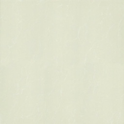 P87763N