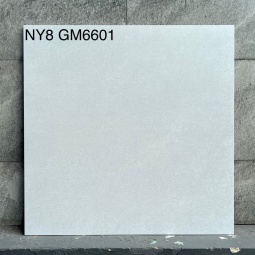GM6601-NY8