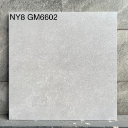 GM6601-NY8