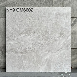 GM6602-NY9