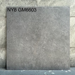 GM6603-NY8