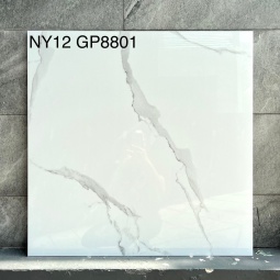 GP8801-NY12