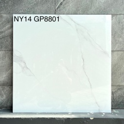 GP8801-NY14