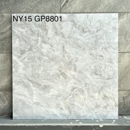 GP8801-NY15