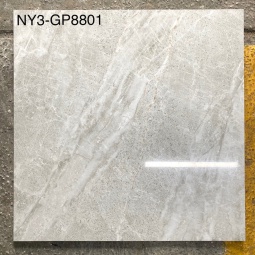 GP8801-NY3