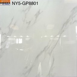 GP8801-NY5