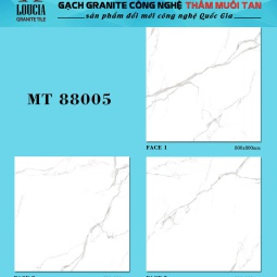 MT - 88005