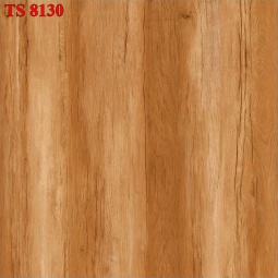 TS8136