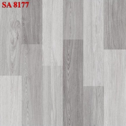 TS8177