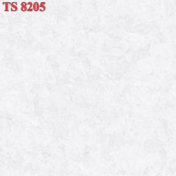TS8205