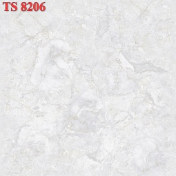 TS8206