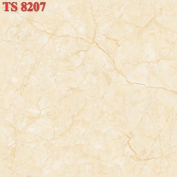 TS8207