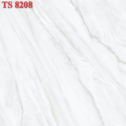 TS8208