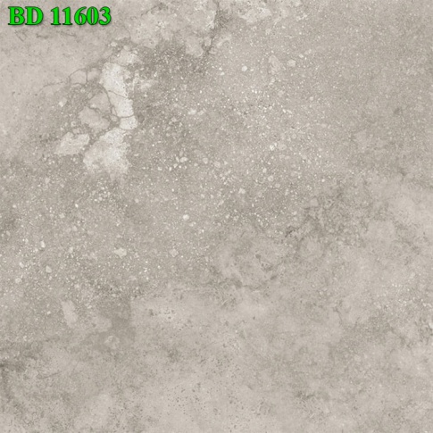 BD11603