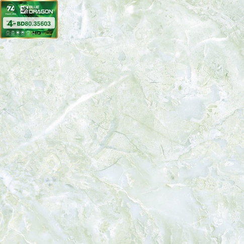 BD80-35603