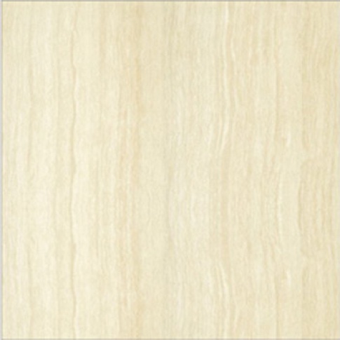 P67206N