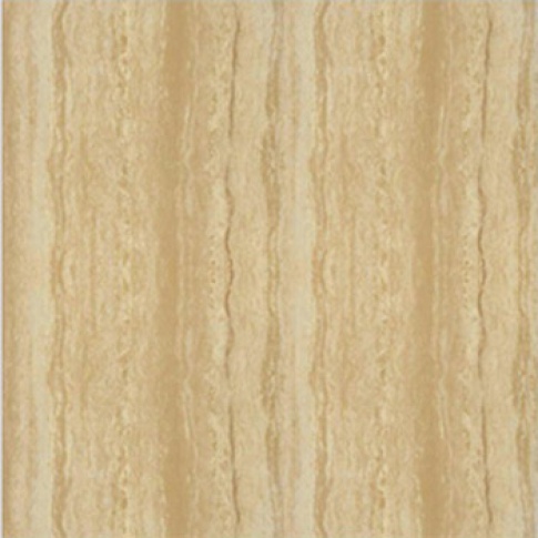 P67216N