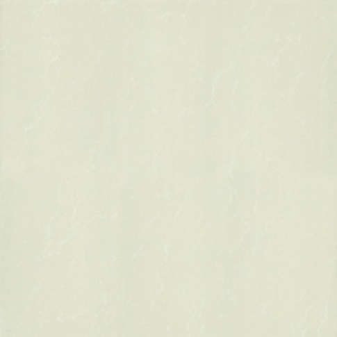 P87763N