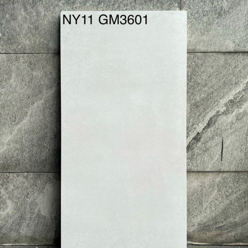 GM3601-NY11