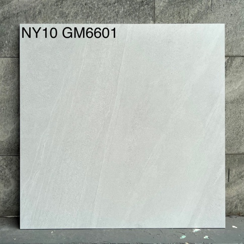 GM6601-NY10